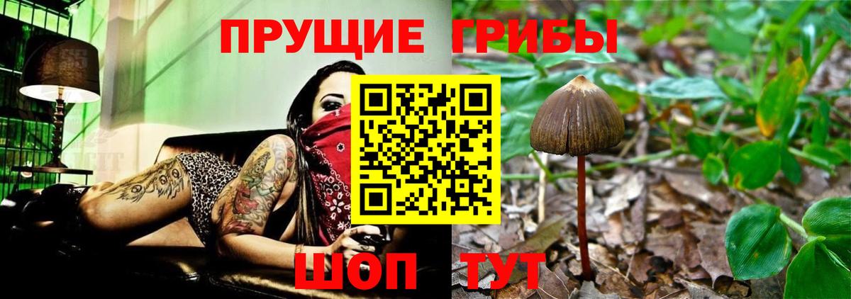 Галлюциногенные грибы ЛСД  Галлюциногенные грибы Cubensis  Калининград  Вход с VPN 